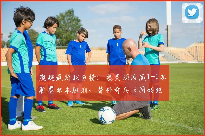澳超最新积分榜：惠灵顿凤凰1-0客胜墨尔本胜利，替补奇兵卡图姆绝杀，两队季后赛前景如何？