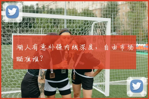 湖人有意补强内线深度，自由市场瞄准谁？