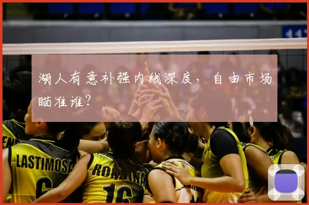 湖人有意补强内线深度，自由市场瞄准谁？